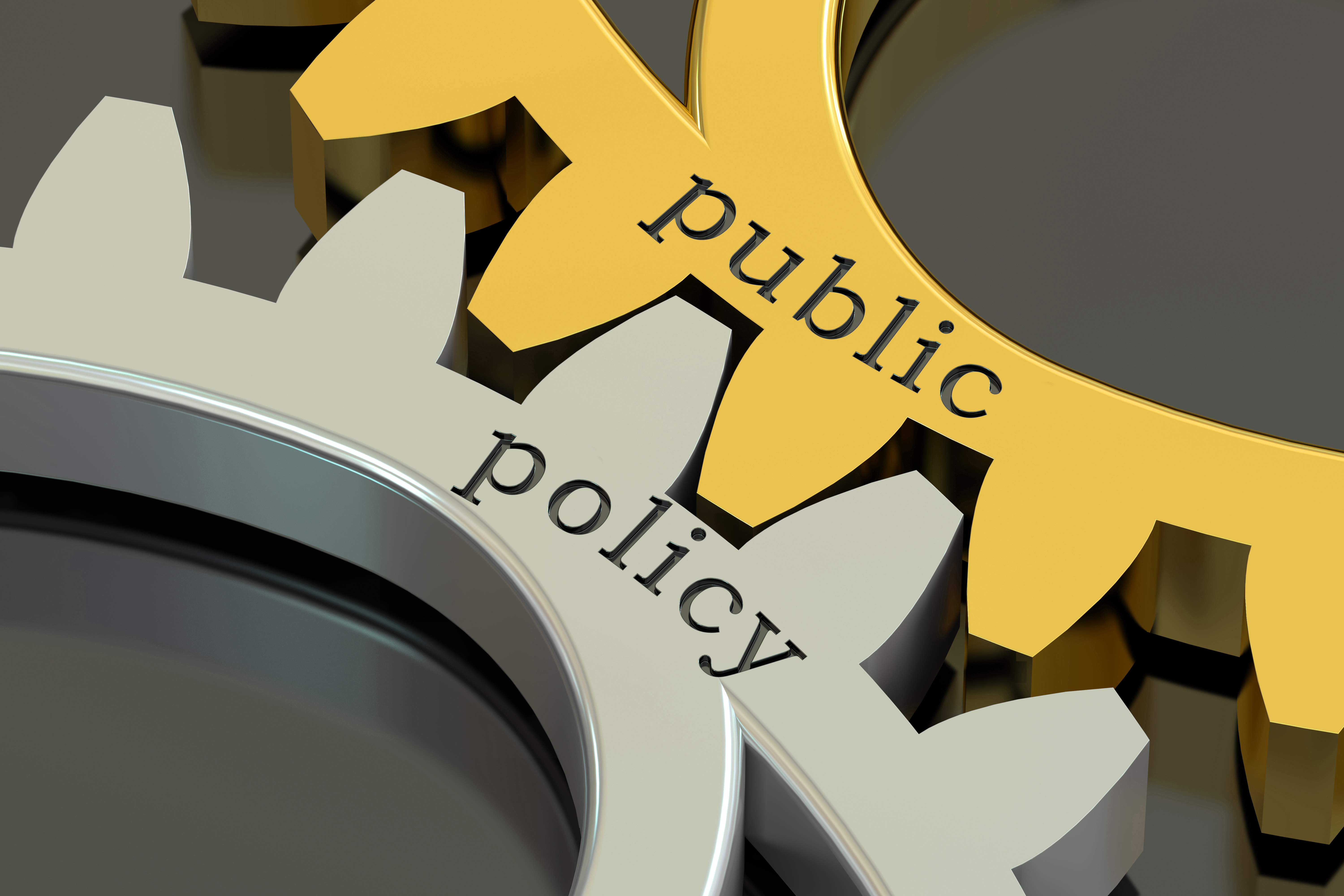 PA 507 – The Public Policy Process